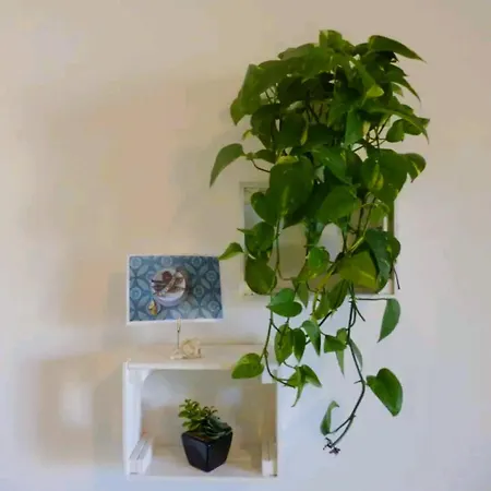 Ecoboutique House, Self Check-in - Free Car Parking *