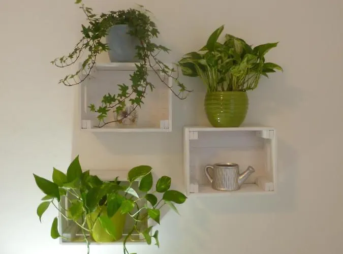 Ecoboutique House, Self Check-in - Free Car Parking *