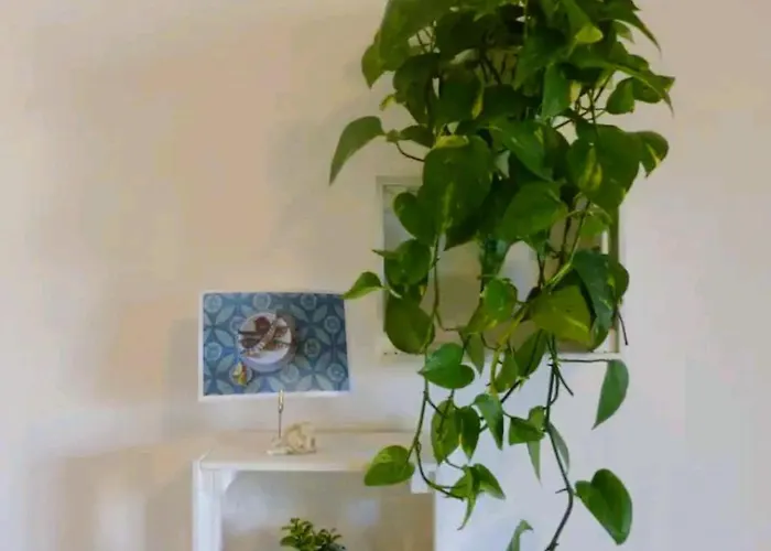 Ecoboutique House, Self Check-in - Free Car Parking *